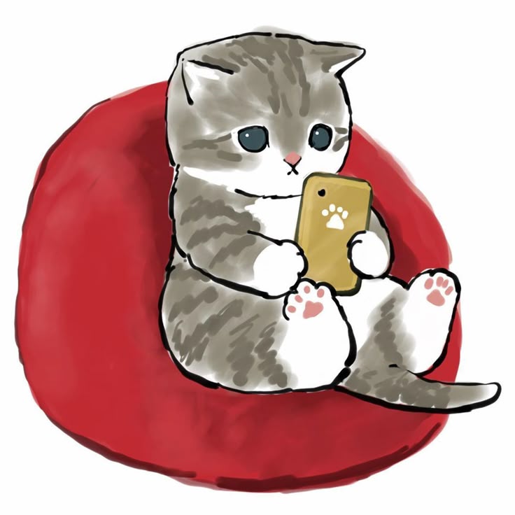 Котик 3